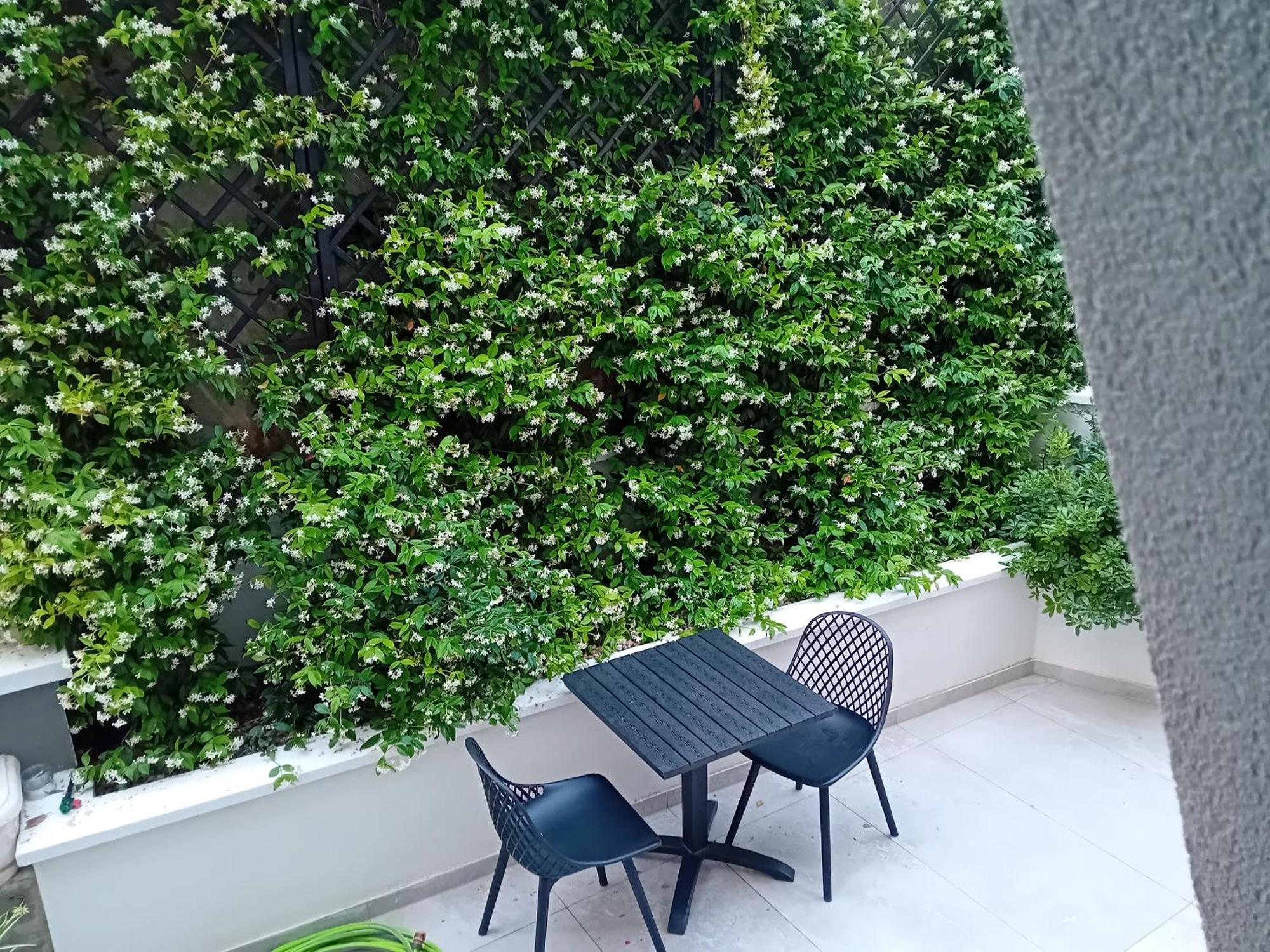 Villa Maboka زادار المظهر الخارجي الصورة